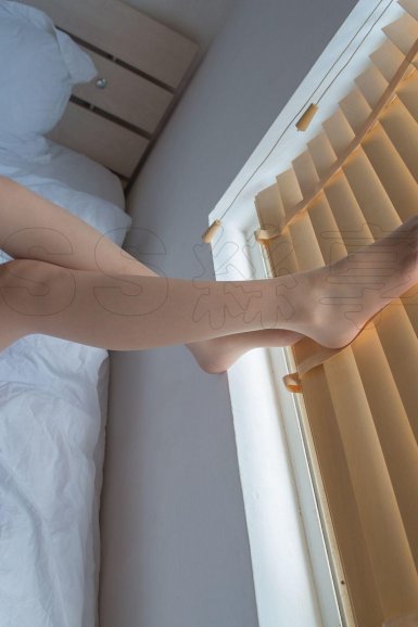 星空体育app团队